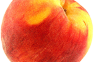 The Elusive Peach