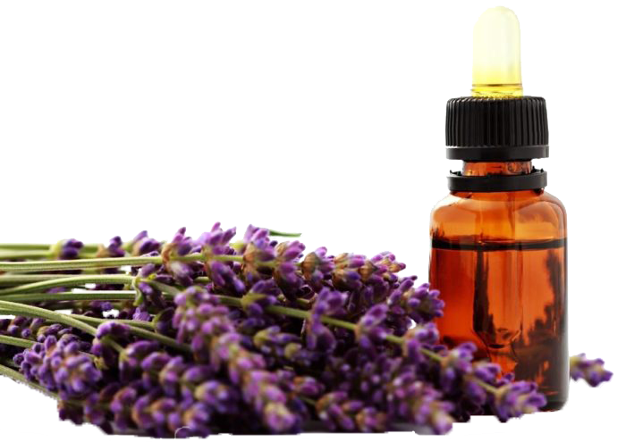 Lavender Rules!